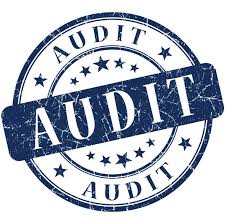 audit's