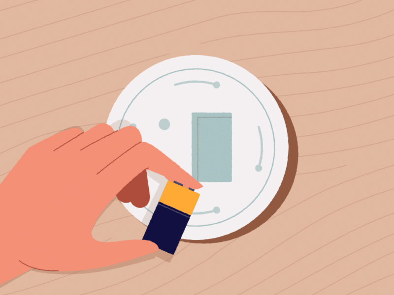 smoke and fire detectors